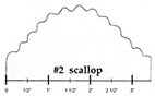 #2 scallop size